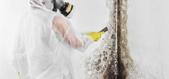 MOLD-REMOVAL