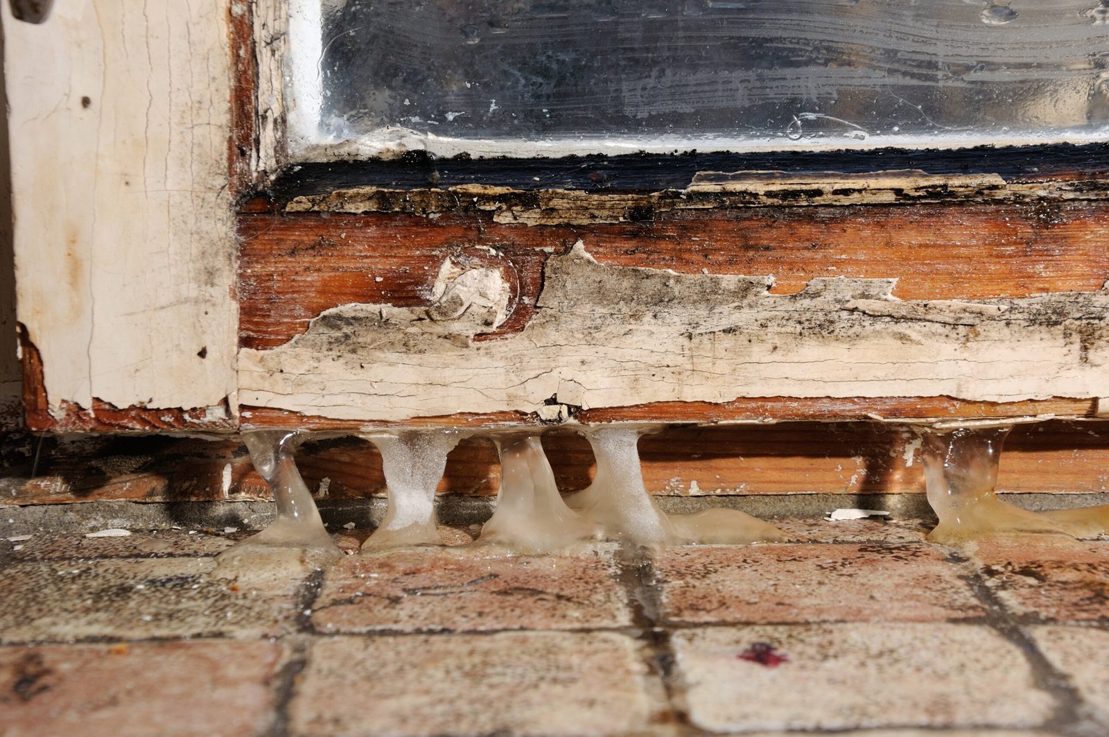 fragment moldy peeling paint on a window frame with a deicing